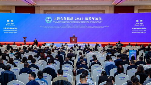 旅游点亮文明互鉴之光 上合组织秘书长张明谈旅游作为文化交流与对话互动的重要方向